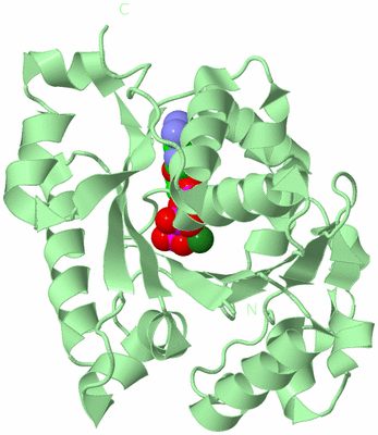 Image Biological Unit 3