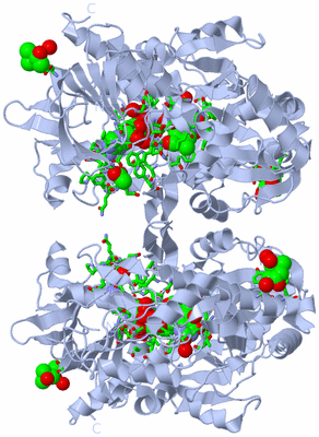 Image Biol. Unit 1 - sites