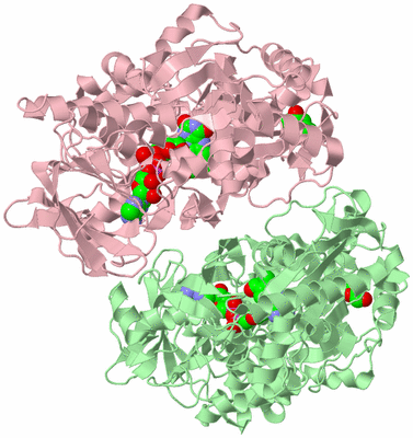 Image Biological Unit 2