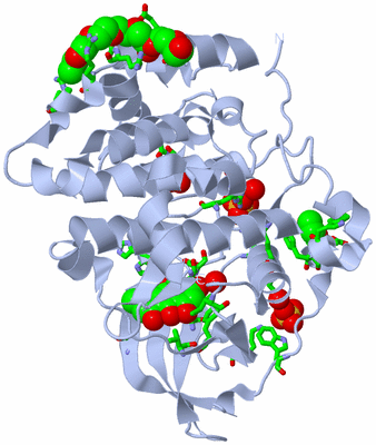 Image Biol. Unit 1 - sites