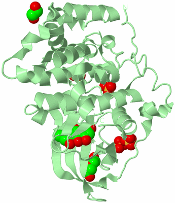 Image Biological Unit 2