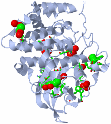 Image Biol. Unit 1 - sites