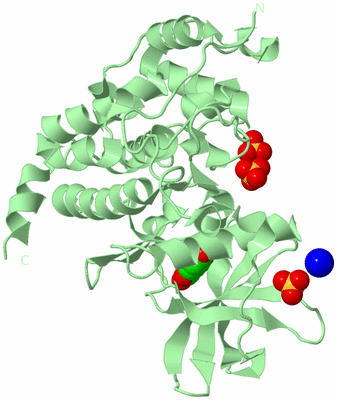 Image Biological Unit 2