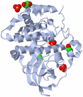 Image Biological Unit 1