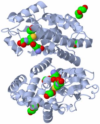 Image Biological Unit 1