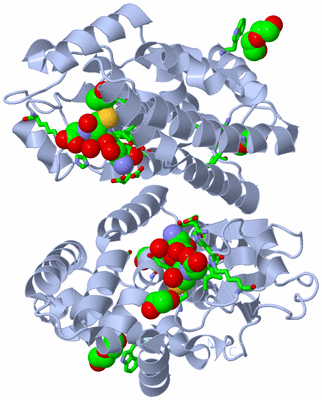 Image Biol. Unit 1 - sites