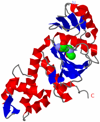 Image Asym./Biol. Unit