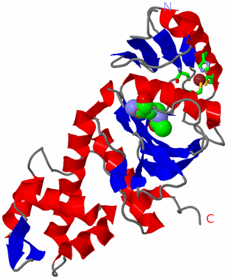 Image Asym./Biol. Unit - sites