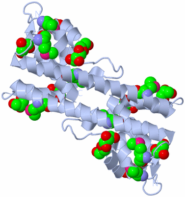 Image Biological Unit 1