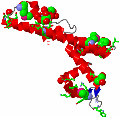 Image Asym. Unit - sites