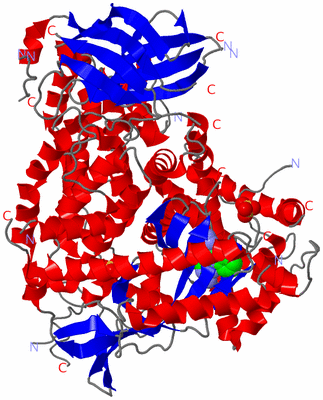 Image Asym./Biol. Unit