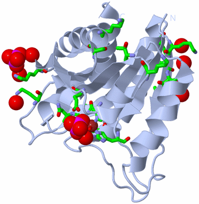 Image Biol. Unit 1 - sites