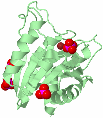 Image Biological Unit 2