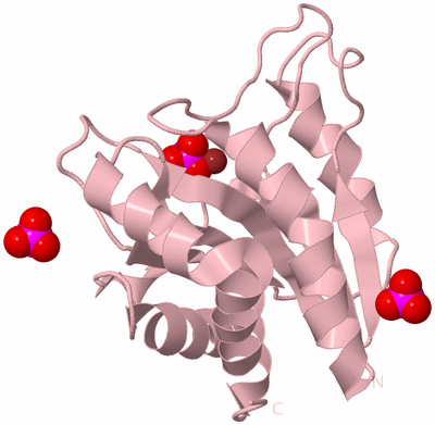 Image Biological Unit 3