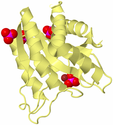 Image Biological Unit 4