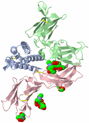 Image Biological Unit 1