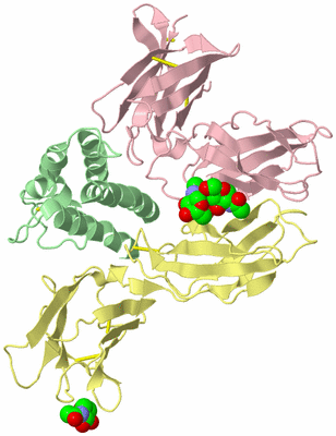 Image Biological Unit 10