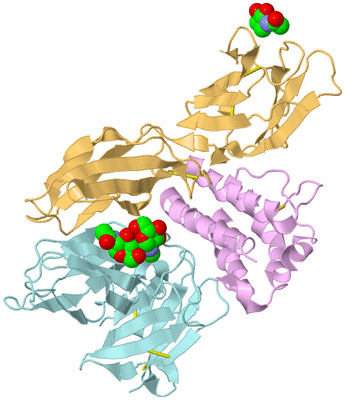 Image Biological Unit 11