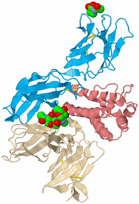 Image Biological Unit 12