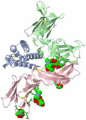 Image Biol. Unit 1 - sites