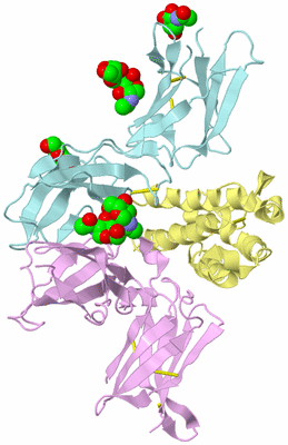 Image Biological Unit 2