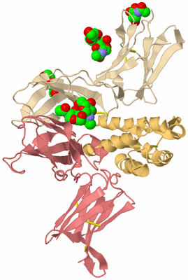 Image Biological Unit 3