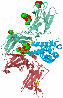 Image Biological Unit 4