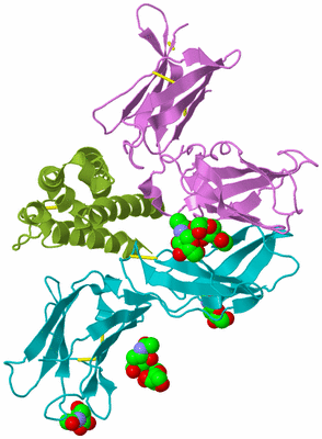 Image Biological Unit 5