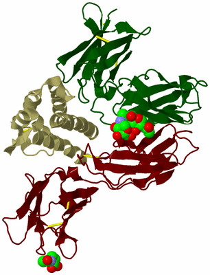 Image Biological Unit 7