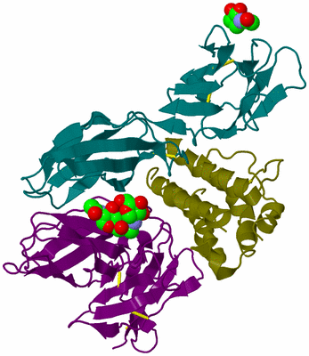 Image Biological Unit 8