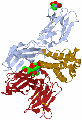 Image Biological Unit 9