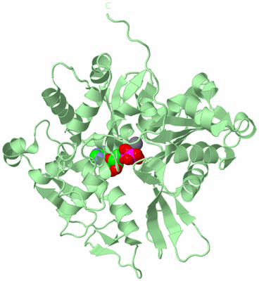 Image Biological Unit 2