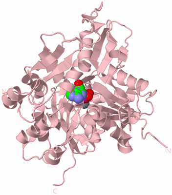 Image Biological Unit 3