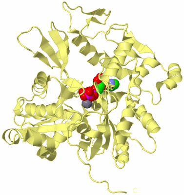 Image Biological Unit 4