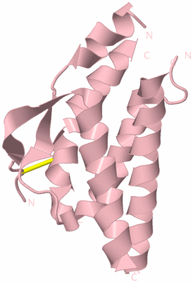 Image Biological Unit 3