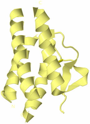 Image Biological Unit 4