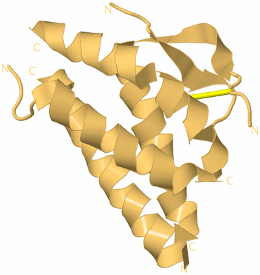 Image Biological Unit 7