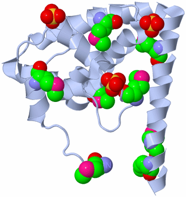 Image Biological Unit 1