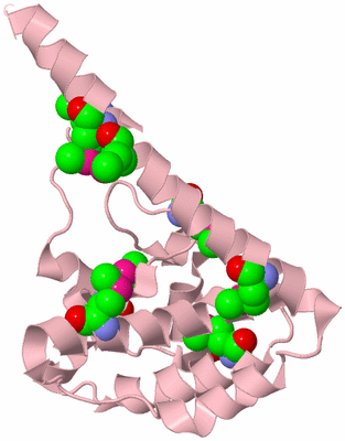 Image Biological Unit 3