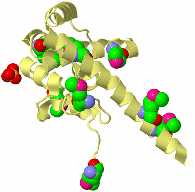 Image Biological Unit 4