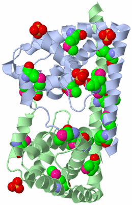 Image Biological Unit 5