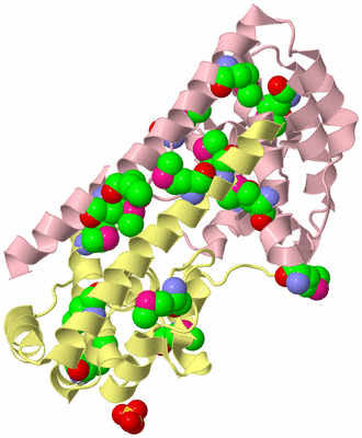 Image Biological Unit 6