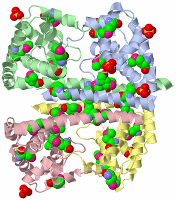 Image Biological Unit 7