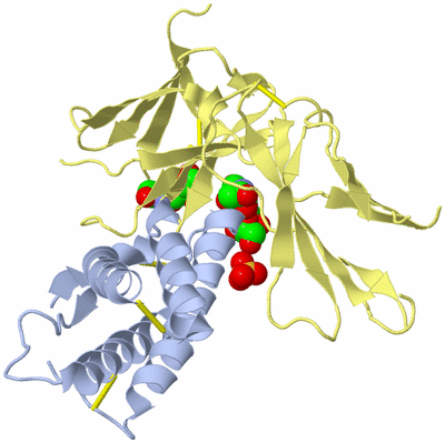 Image Biological Unit 1