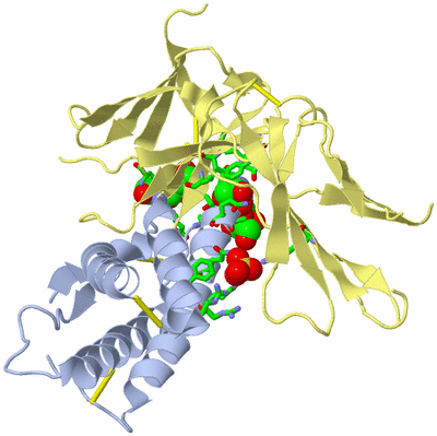 Image Biol. Unit 1 - sites