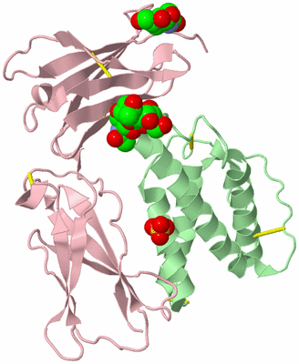 Image Biological Unit 2