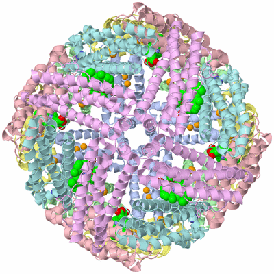 Image Biological Unit 1