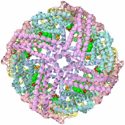 Image Biol. Unit 1 - sites