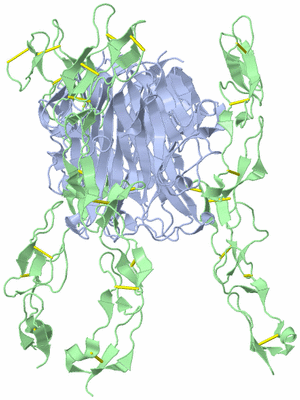 Image Biological Unit 1