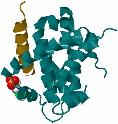 Image Biological Unit 2